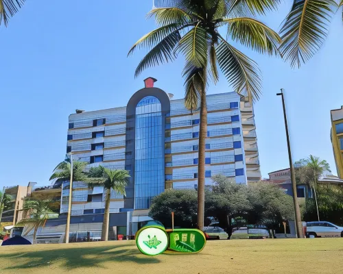 Panorama Tower Hotel Hotel di Ipatinga