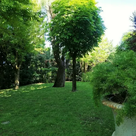 B&B Villa Delle Palme