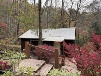 Rustic Ridge a Cabin Close to Hiking and Skiing!