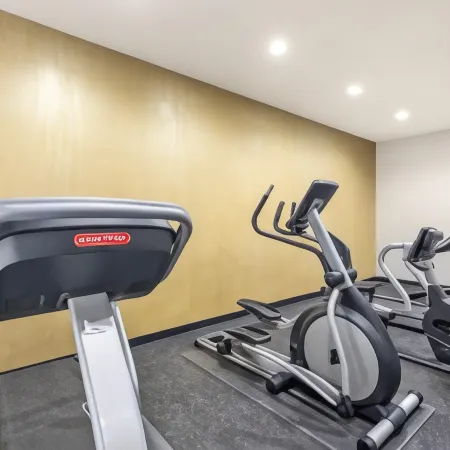 Wingate by Wyndham Dallas/Las Colinas