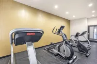 Wingate by Wyndham Dallas/Las Colinas