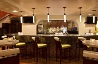 希爾頓帕拉西奧德爾里奧飯店 - 酒吧