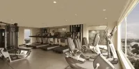 檸檬樹烏蘇爾湖飯店 - 班加羅爾 - 健身房