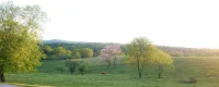 山間農場小屋，帶有農場動物 - 小木屋