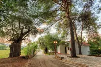 Alykes Park Bungalows - parking