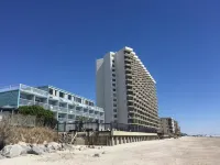 Garden City Inn - acceptant les animaux