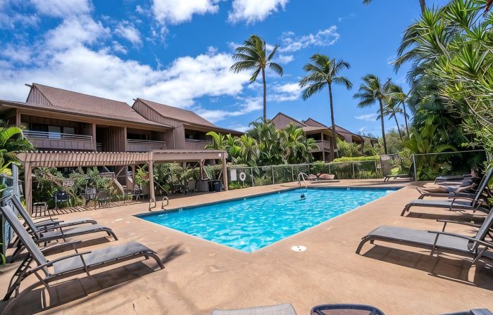 Modern & Tropical Oceanside Vistas