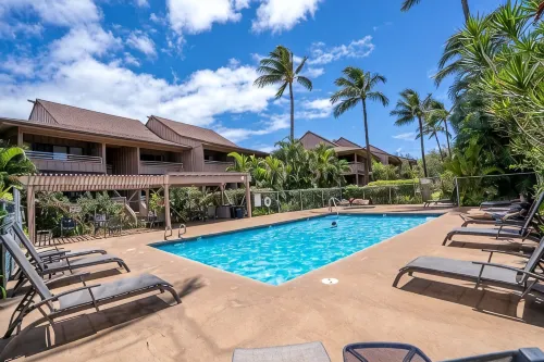 Modern & Tropical Oceanside Vistas
