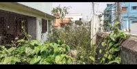 Sadhana Bhaban - Homestays