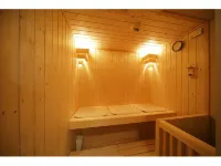 Hagi Royal Intelligent Hotel - spa