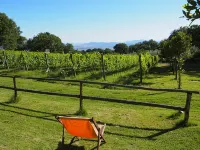 Valdonica Winery Fine Dine & Wine Hotel - 4-Star