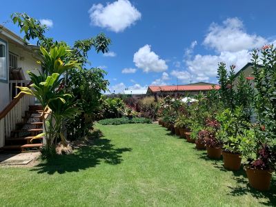 The Hilo Hula Hut