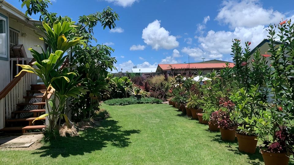 The Hilo Hula Hut