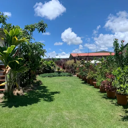 The Hilo Hula Hut