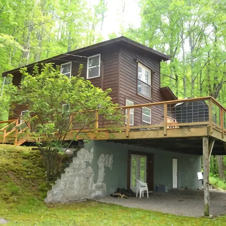 Locust Flats -  Pet-Friendly Mountain  Cabin =  Decks-Views-Firepit