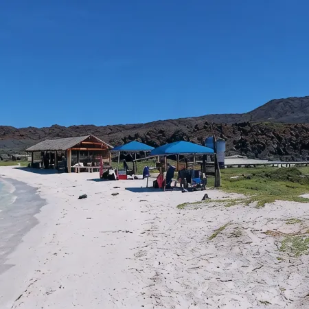 Hotel Loreto Palmar