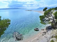 Apartments Jela - Pet friendly