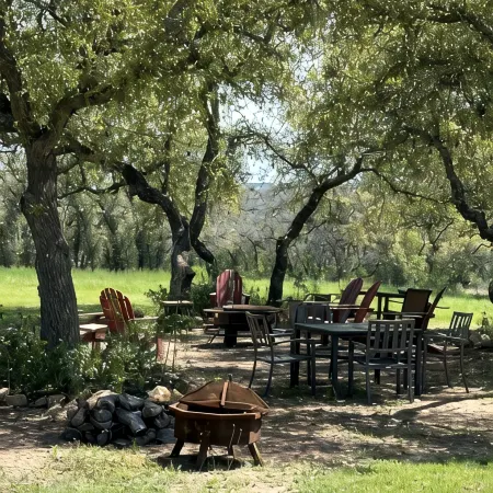 Rockin’ Pony Silver Dollar Winery Hill CountryWinery, Cidery & Bistro
