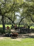 Rockin’ Pony Silver Dollar Winery Hill CountryWinery, Cidery & Bistro - Chalets