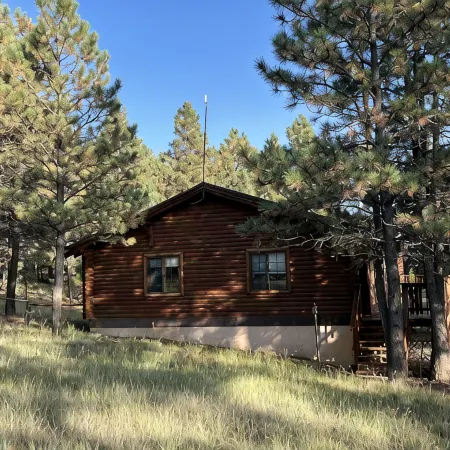 Cozy cabin in the woods. 12 min from the Angel Fire ski resort; 6 to golf course