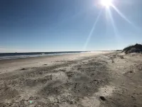 Beach Times & Tee Times! - piscina