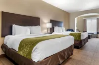 Comfort Inn & Suites Scott-West Lafayette - WiFi