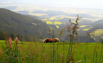 Alpenhotel Ozon Wolfgruber