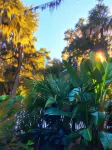 Retreat at Crystal Manatee Hotels in Crystal River