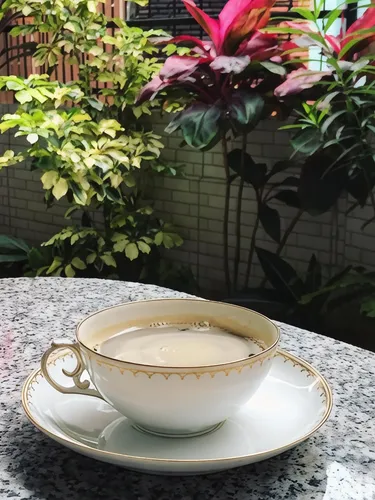 รูปภาพของรินน์