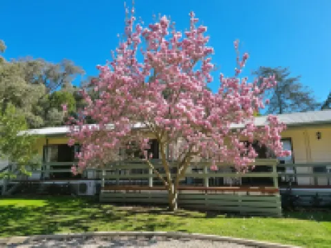 Golden Heritage Apartments Beechworth Hotels in Beechworth