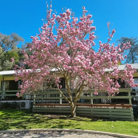 Golden Heritage Apartments Beechworth