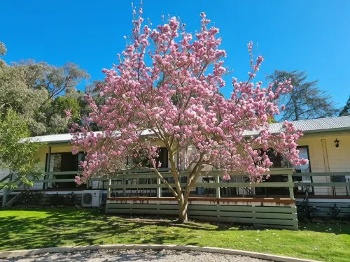 Golden Heritage Apartments Beechworth - Boutique
