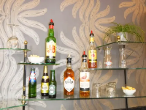 Best Western Hotel de France Hotels in Ain