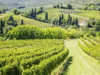 Spectacular Views - Villa Guinigi - Lucca Area
