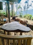 Ella Glamping