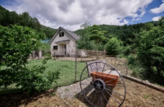 tocoro. Mt. Fuji 睦月