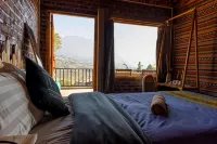 Plum Eco House