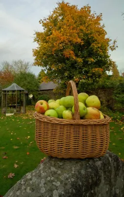 Lea House Bed and Breakfast - Pet-friendly