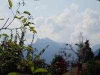 Alpenhotel Waidmannsheil Hotels in Bad Hindelang