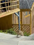 Inscape Eco Village - 주차장