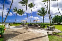 Turtles, Swim Beachfront Ocean View, New Bigger AC. Wash-Dryer in Unit, Parking