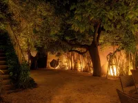 Logis Vignes Blanches Hôtel Cosy et Restaurant de Terroir Hotels in Beaucaire