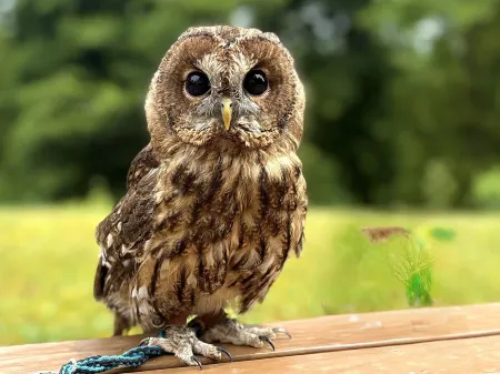 Auberge Keisuikan Отели в г. Китасиобара