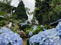 Ukrist Farm Hill Phu Chi Fa - Wifi