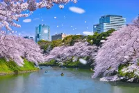 Hotel Owl Tokyo Shinbashi - 2 Sao