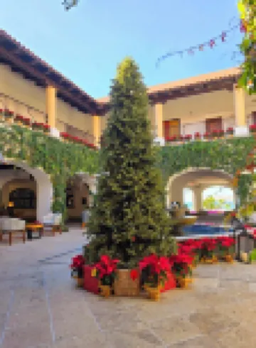 Zoetry Casa del Mar Los Cabos by Amr Collection - All Inclusive