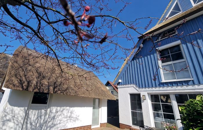 BEAUTIFULLY FURNISHED HOLIDAY HOUSE FOR 4 PEOPLE WITH SEPERATE SAUNA HOUSE
