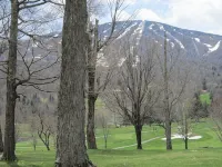 Charming 2-bedroom Stratton Mountain Condo with shuttle service Hotels in Stratton Mountain