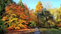 Private Garden Apt, w/ Free Gym, Parking & Wi-Fi - Condos
