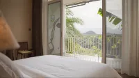 GuiQiBanshanlisu - Barer